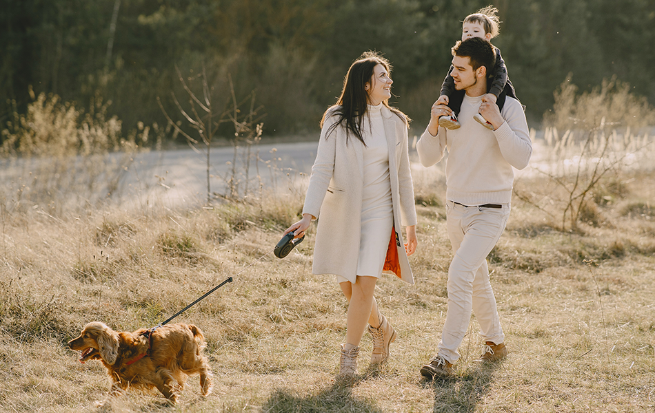 Buying a property in a Family or Discretionary Trust